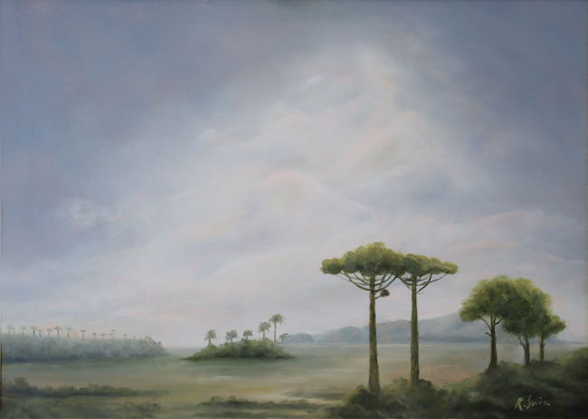 landscape with araucaria