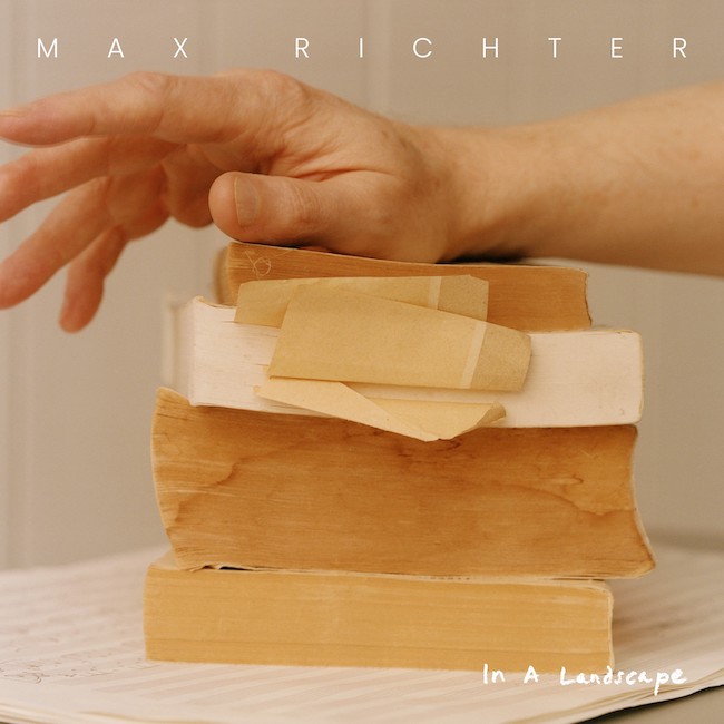 max richter in a landscape