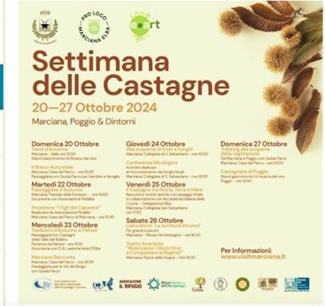 settimana delle castagne 2024