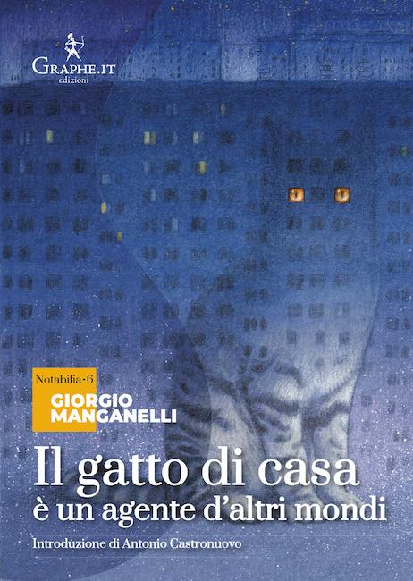 il gatto di casa